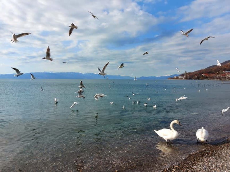 From Skopje: Private Full-Day Tour of Ohrid and Saint Naum - Who Will Love This Tour?