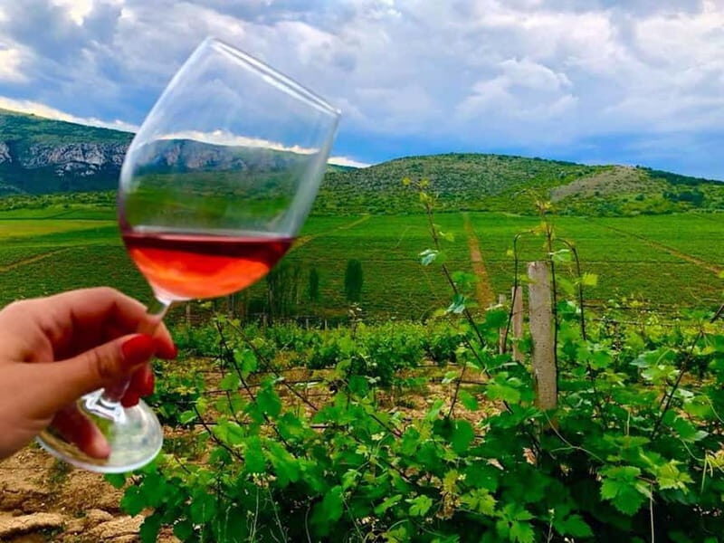 From Skopje: Private Tour of Sopot Winery with Lunch - Who Is It Best Suited For?