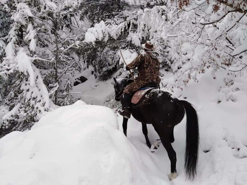 From Smolyan: Waterfalls Canyon Horseback Riding Tour - Key Points