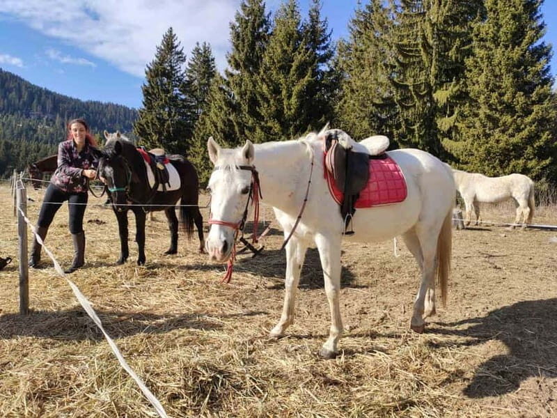 From Smolyan: Waterfalls Canyon Horseback Riding Tour - What Real Travelers Say