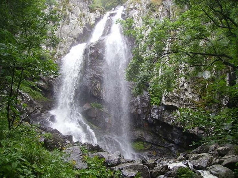 From Sofia: One-Day Tour of Vitosha Mountain - The Experience: What You Can Expect