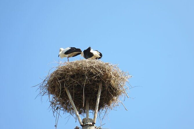 From Sofia: Serbia and Macedonia Trip - Key Points