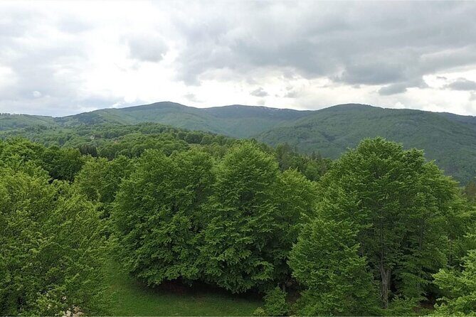 From Sofia: Serbia and Macedonia Trip - FAQ