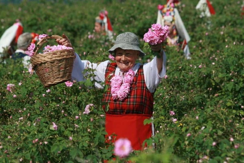 From Sofia: The Rose Valley & Koprivshtitsa 12 hrs Day Tour - Key Points