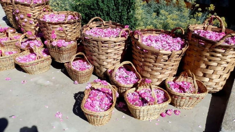 From Sofia: The Rose Valley & Koprivshtitsa 12 hrs Day Tour - What to Expect from the Tour