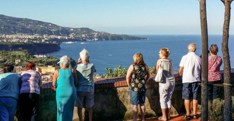 From Sorrento: Amalfi and Positano Full-Day Tour by Van LM - Key Points