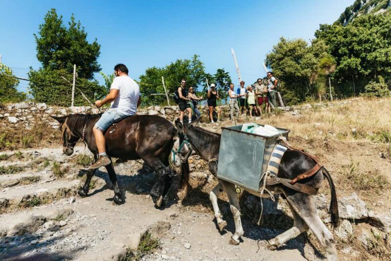 From Sorrento: Path of the Gods Guided Hike with Transfers - FAQs