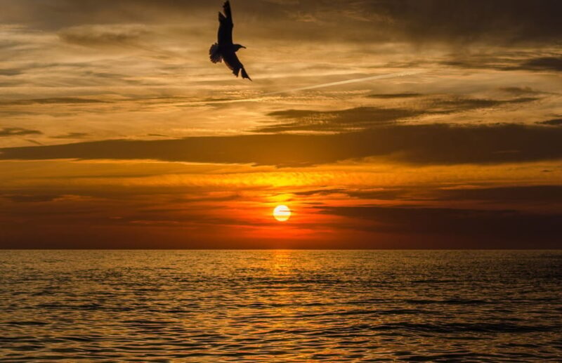 From Sorrento: Private Sunset Boat Tour to Capri - Who Would Love This Tour?