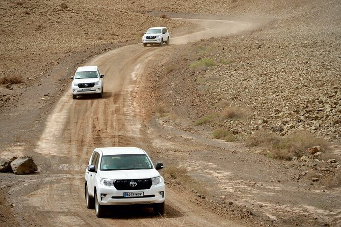 From South Fuerteventura 4x4 Tour Corralejo Dunes and El Cotillo - Learning About Aloe Vera at Finca Canarias