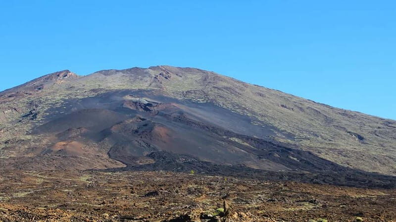 From South Tenerife: Half-Day Tour to Mount Teide - Key Points