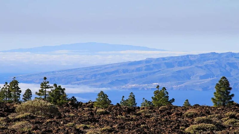 From South Tenerife: Half-Day Tour to Mount Teide - An In-Depth Look at the Tour Experience