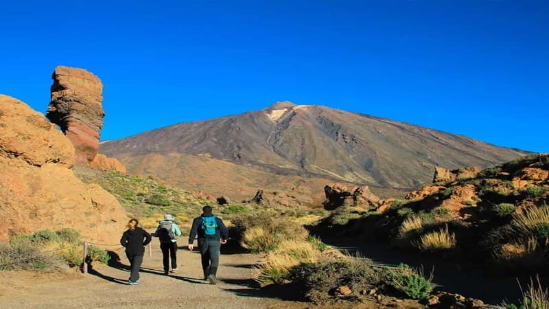 From South Tenerife: Half-Day Tour to Mount Teide - Price and Value