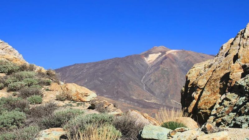 From South Tenerife: Half-Day Tour to Mount Teide - Who Should Consider This Tour?
