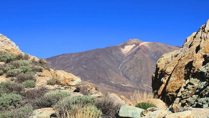 From South Tenerife: Half-Day Tour to Mount Teide - FAQs
