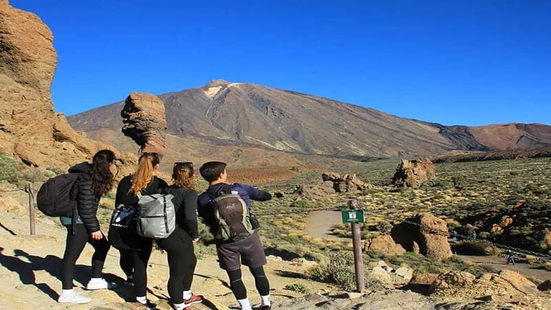 From South Tenerife: Half-Day Tour to Mount Teide - Final Thoughts