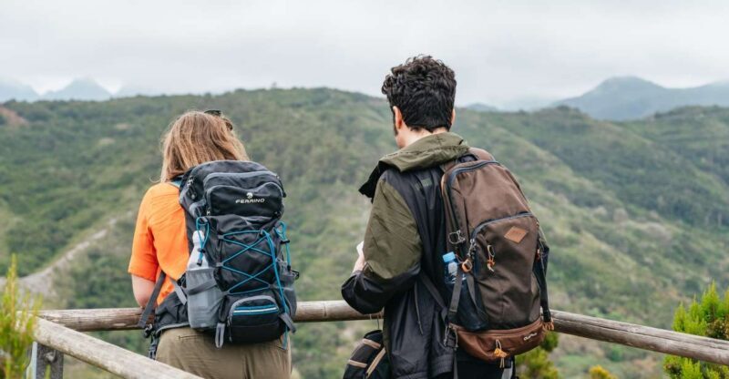 From South Tenerife: La Gomera Island Day Trip with Lunch - Drive Through La Gomera’s Scenic Landscape