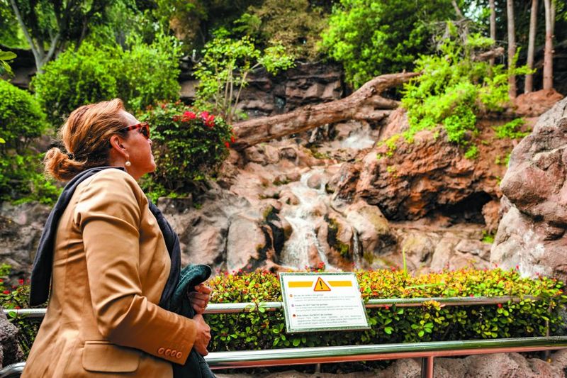 From South Tenerife: Loro Park Zoo Ticket & Hotel Transfers - How long you’ll spend inside the park (and why timing matters)