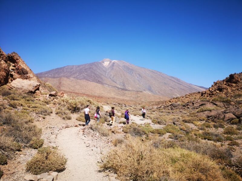 From South Tenerife: Teide National Park Tour - What’s Included and What’s Not