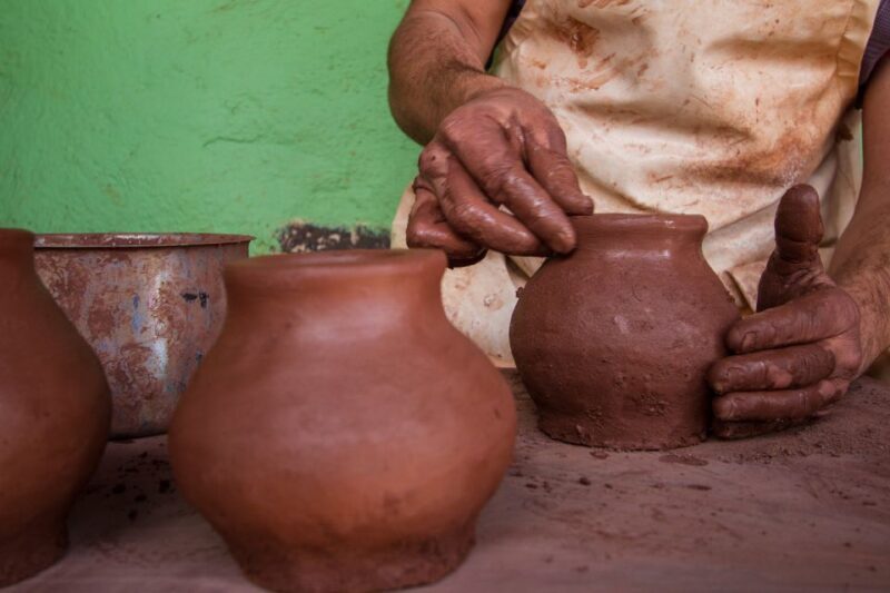 From South Tenerife: VIP Gomera Tour - Who Should Consider This Tour?