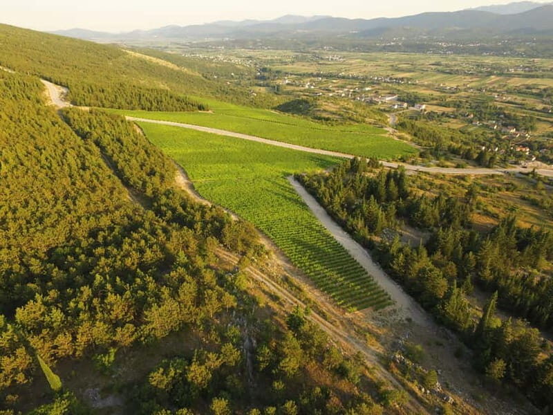 From Split: Blue and Red Lakes and Winery Grabovac Tour - A closer look at this Croatian lakes and winery tour