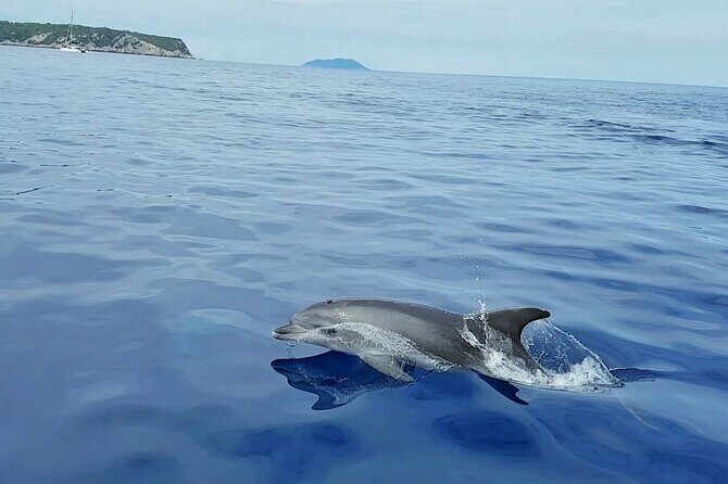 From Split: Half-Day Blue Lagoon and 3 Islands Boat Tour - Who Should Consider This Tour?