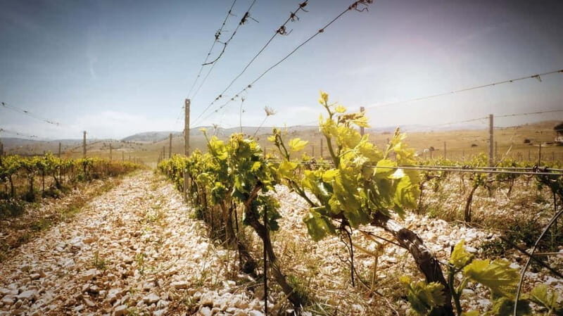 From Split: Krka Waterfalls, Primoten, and Winery Day Trip - Is It Worth the Price?