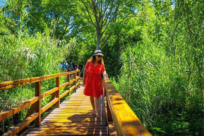 From Split: Krka Waterfalls Tour - What We Love & What to Watch For