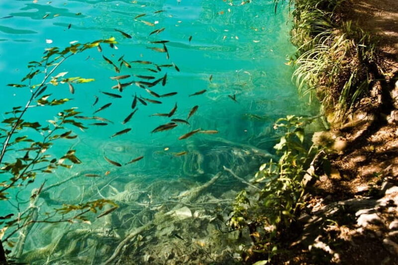 From Split: Krka Waterfalls Tour with Boat Ride & Swimming - Who Is This Tour Best For?