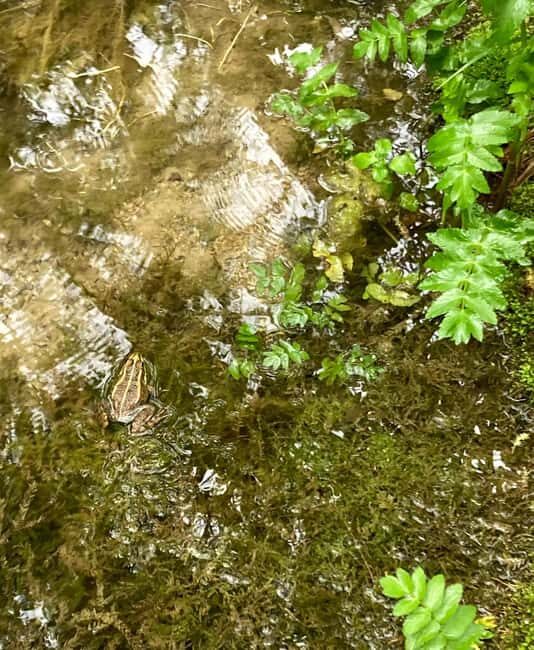 From Split: Krka Waterfalls with Wine & Cheese Tasting Tour - The Practical Details: Transportation, Cost, and Comfort