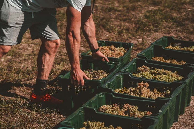 From Split: Krka Waterfalls with Wine & Cheese Tasting Tour - Final Thoughts