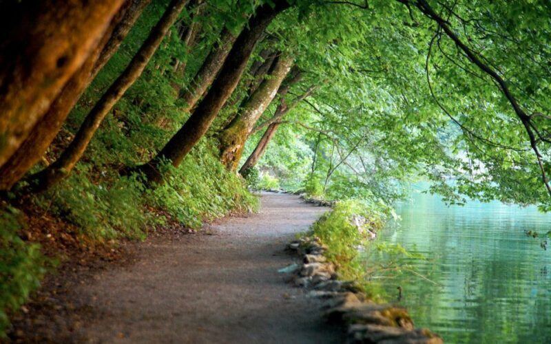 From Split or Trogir: Plitvice Lakes Guided Tour - Key Points