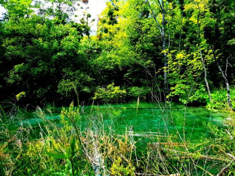 From Split: Plitvice Lakes Full-Day Trip - Inside the Park: The Experience