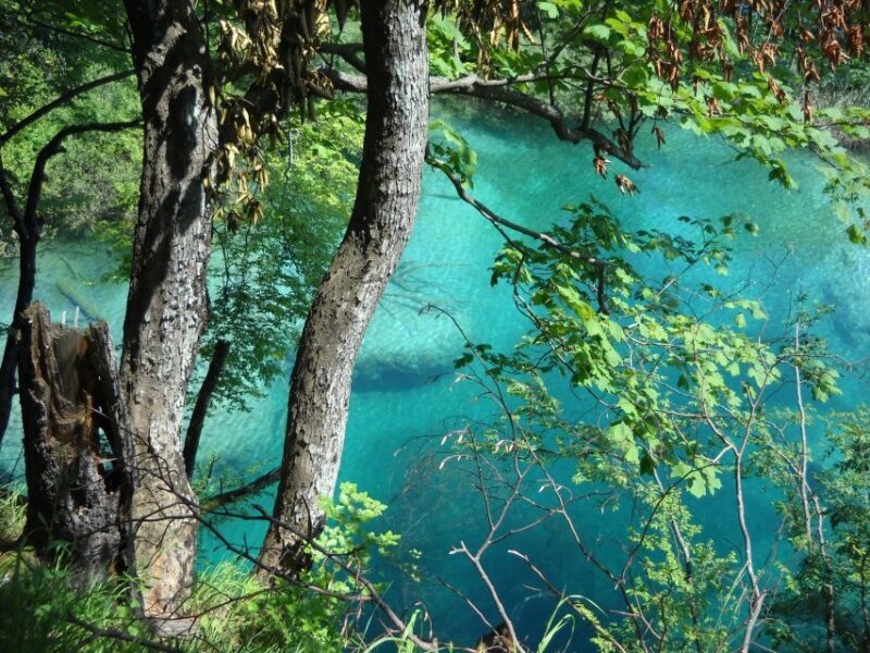 From Split: Plitvice Lakes Full-Day Trip - The Park Itself: Highlights and Tips