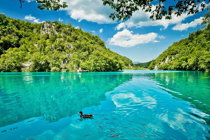 From Split: Plitvice Lakes National Park Guided Tour - Who Should Book This Tour (And Who Shouldnt)
