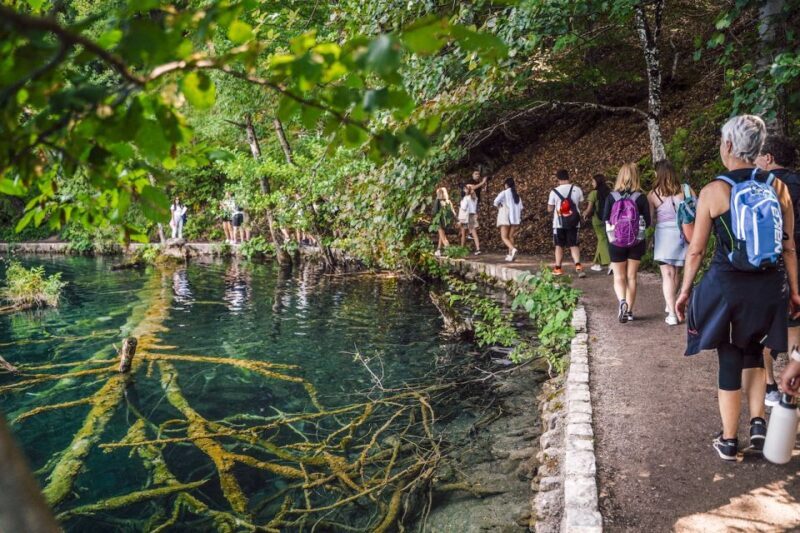 From Split: Plitvice Lakes National Park Guided Tour - A Deep Dive into the Tour Experience