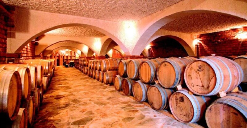 From Split & Trogir: Peljeac Peninsula Food & Wine Tour - Key Points