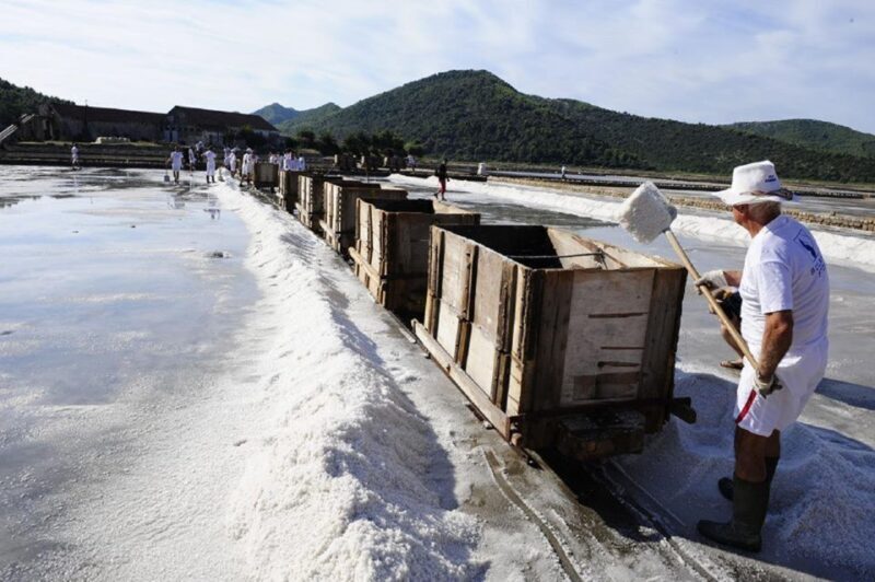 From Split & Trogir: Peljeac Peninsula Food & Wine Tour - Wrapping It Up