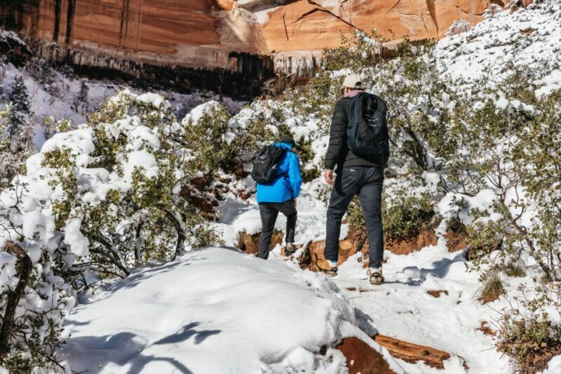 From Springdale: 4-hour Zion Canyon Scenic Hiking Tour - Is This Tour Right for You?