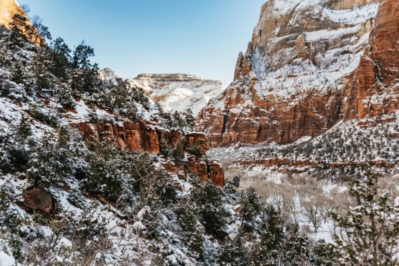 From Springdale: 4-hour Zion Canyon Scenic Hiking Tour - FAQ