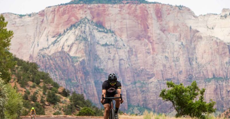 From Springdale: Zion National Park Bike Tour - Key Points