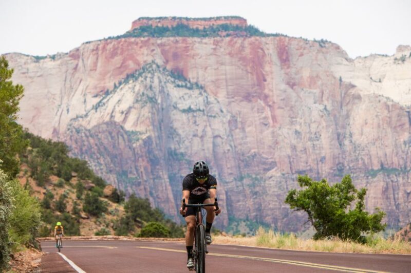 From Springdale: Zion National Park Bike Tour - Exploring Zion by Bike: What to Expect