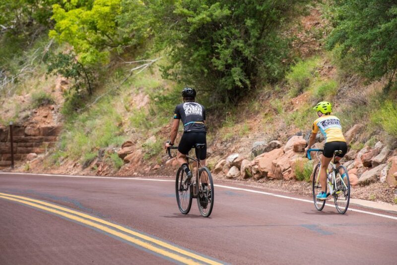 From Springdale: Zion National Park Bike Tour - Who Should Consider This Tour?