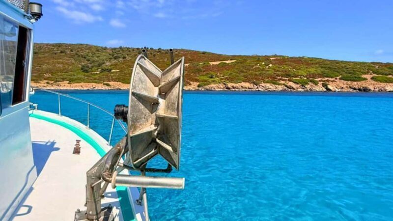 From Stintino: Fishing Boat Tour in the Asinara Park - FAQ