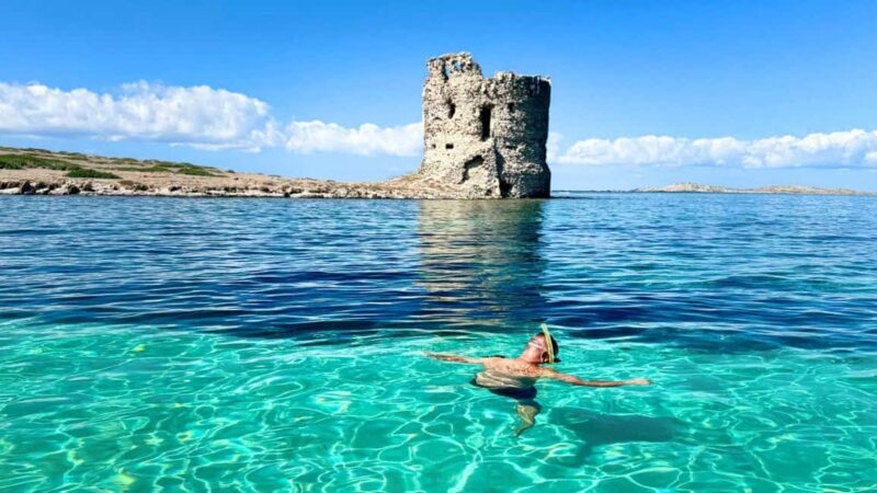 From Stintino: half-day tour by dinghy to Asinara with aperitif - Key Points