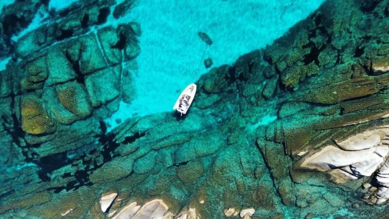 From Stintino: half-day tour by dinghy to Asinara with aperitif - The Experience: What You Can Expect