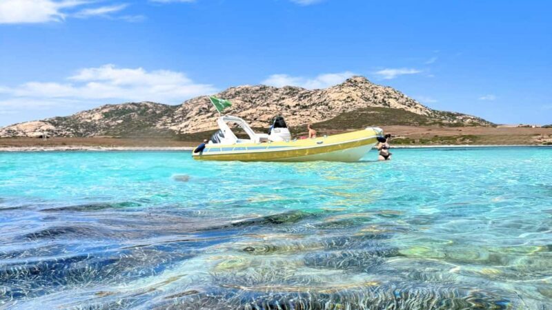 From Stintino: half-day tour by dinghy to Asinara with aperitif - The Practical Side: Transportation, Timing, and Cost