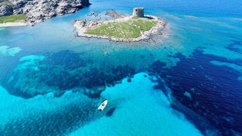 From Stintino: half-day tour by dinghy to Asinara with aperitif - Who Will Enjoy This Tour?