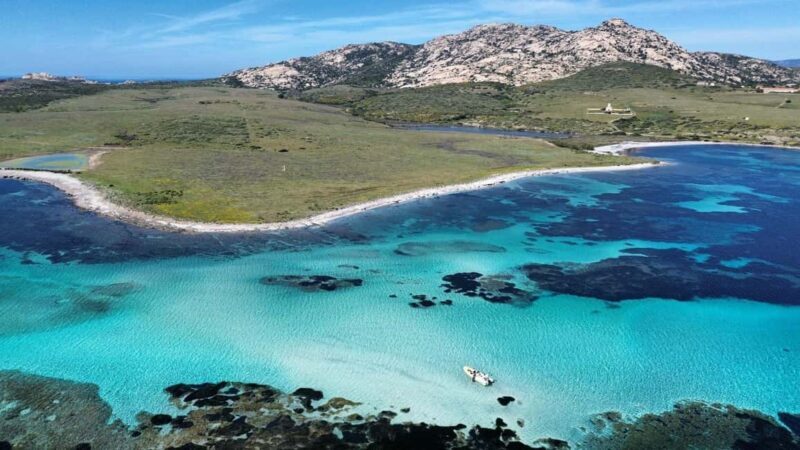 From Stintino: half-day tour by dinghy to Asinara with aperitif - The Sum Up: Is It Worth It?
