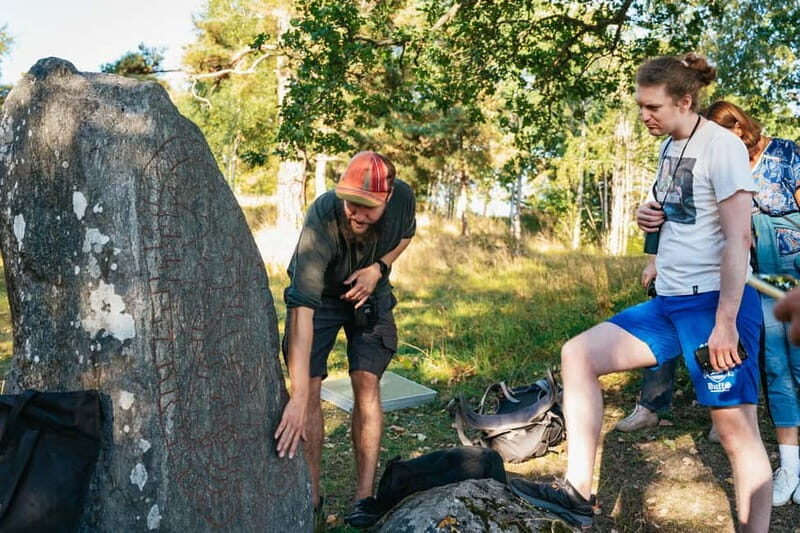 From Stockholm: Moose & Wildlife Safari with Campfire Dinner - The Experience’s Strengths and Potential Drawbacks