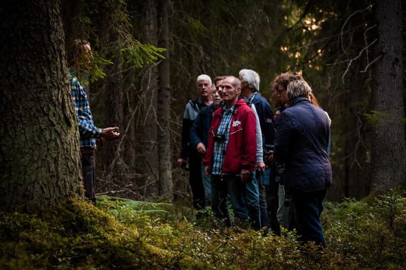 From Stockholm: Moose & Wildlife Safari with Campfire Dinner - Wrapping It Up